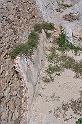 Carthage - La Malga 100_6435